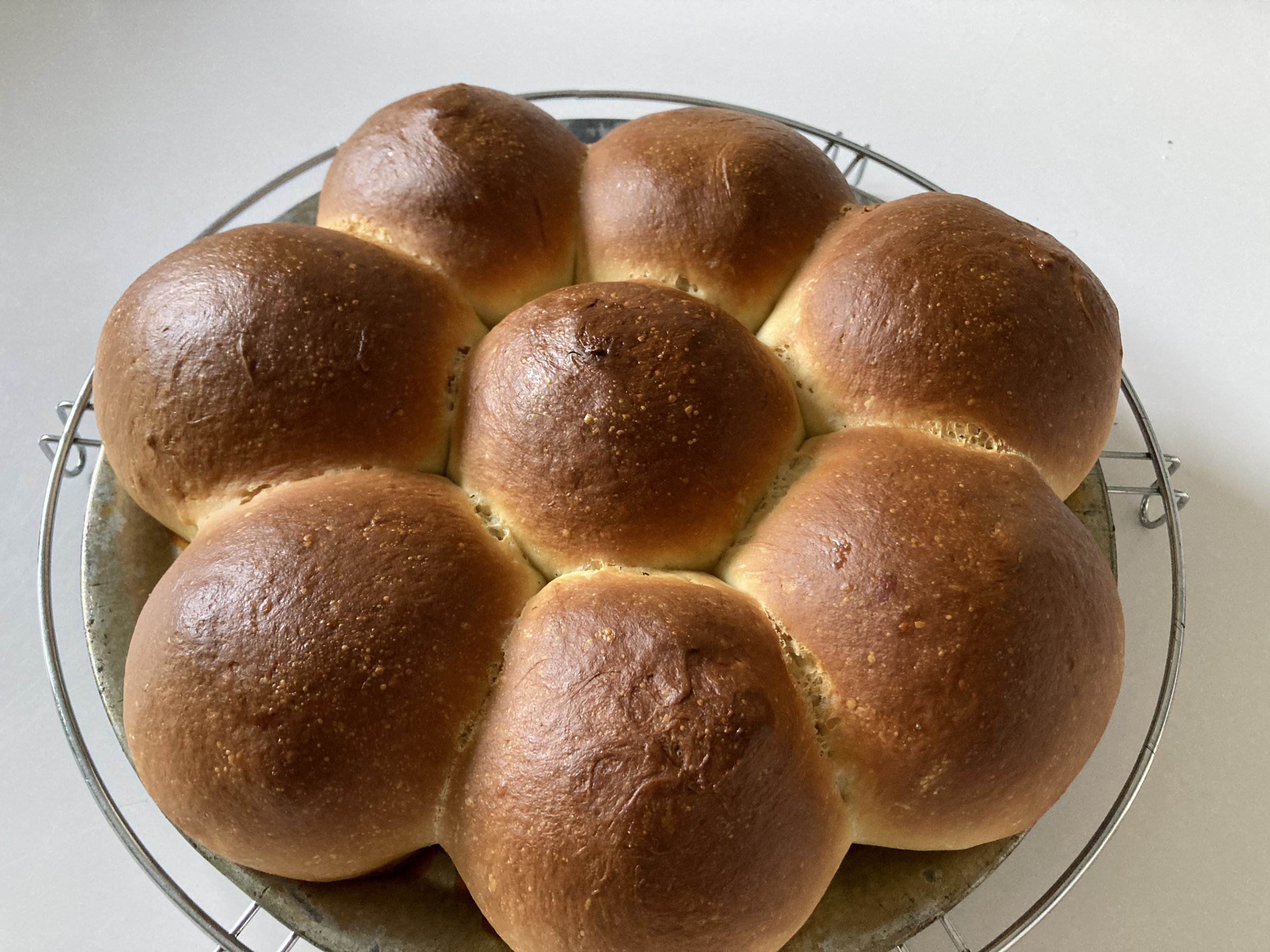 Japanse melkbroodjes (shokupan)