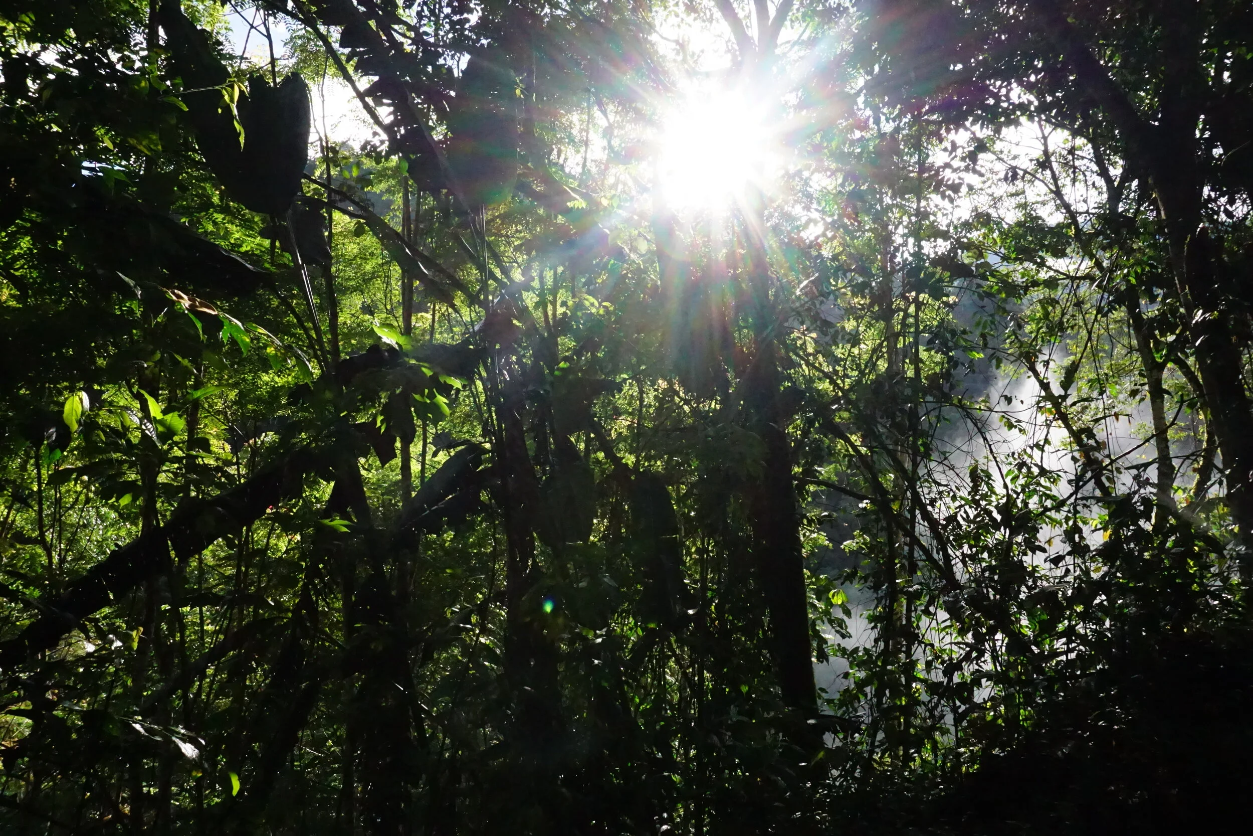 DSC05516.jpeg