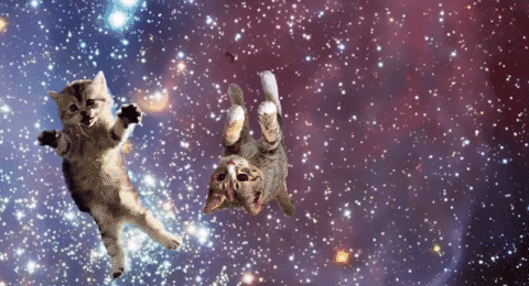 Space Kitties