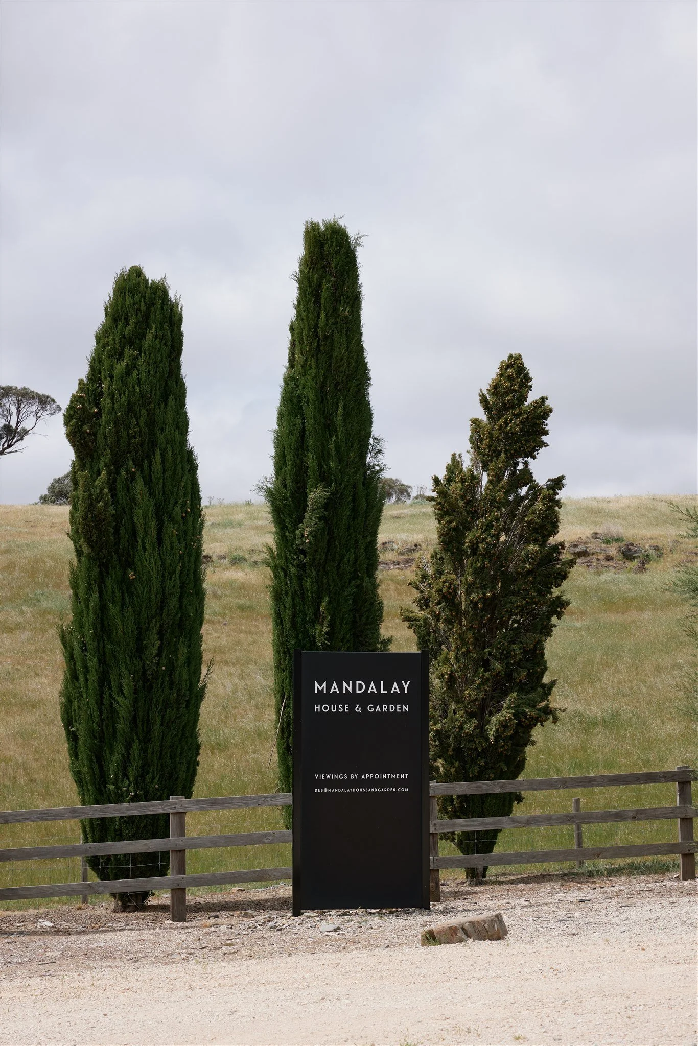 1B3A5450.jpg