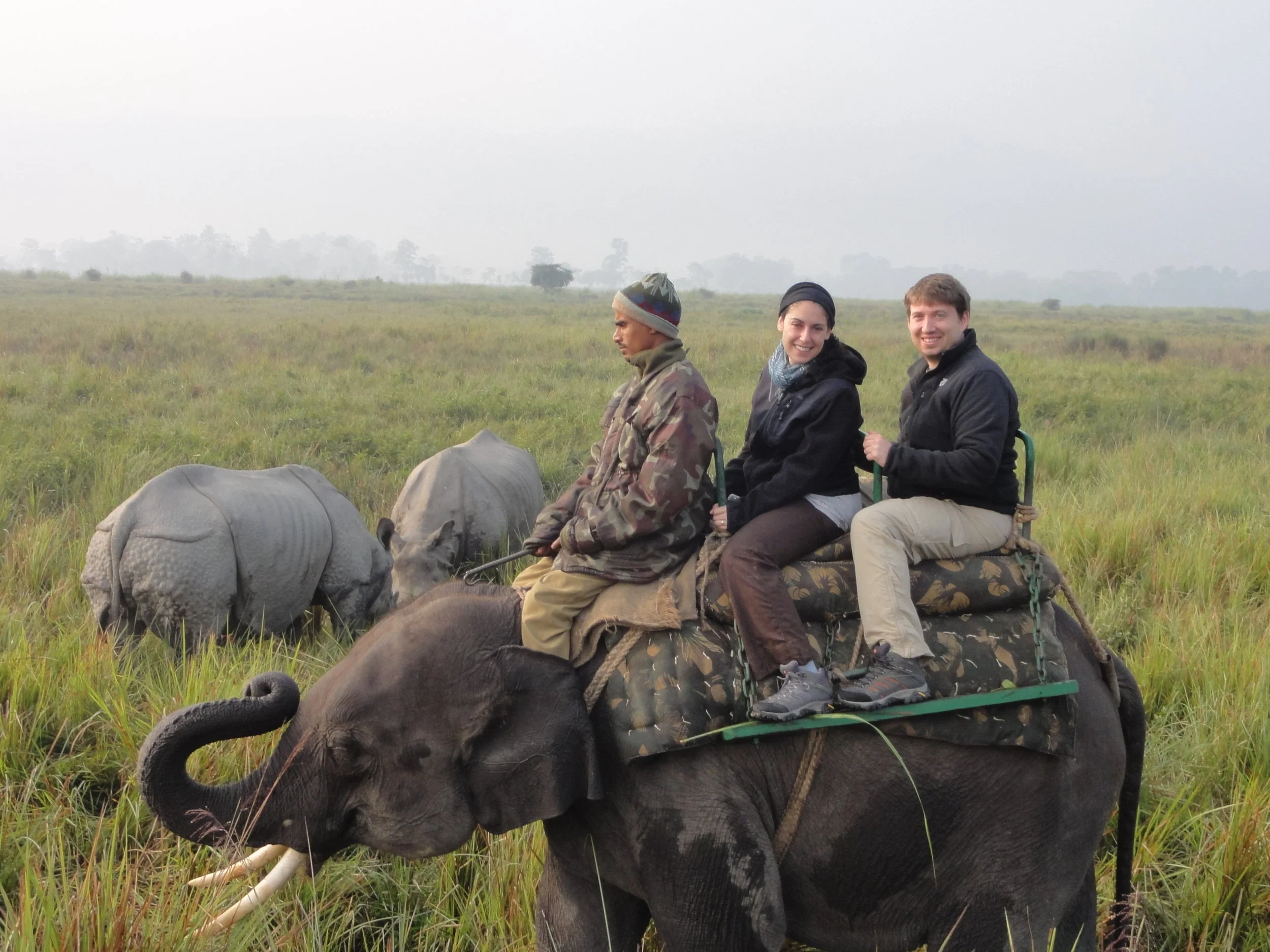 Kaziranga National Park - A Lost World