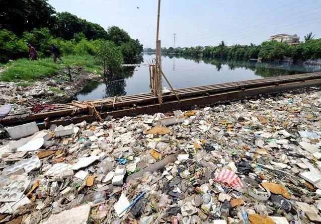 Pollution Past and Present: The Citarum River