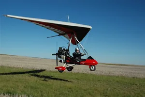 brolga1.jpg