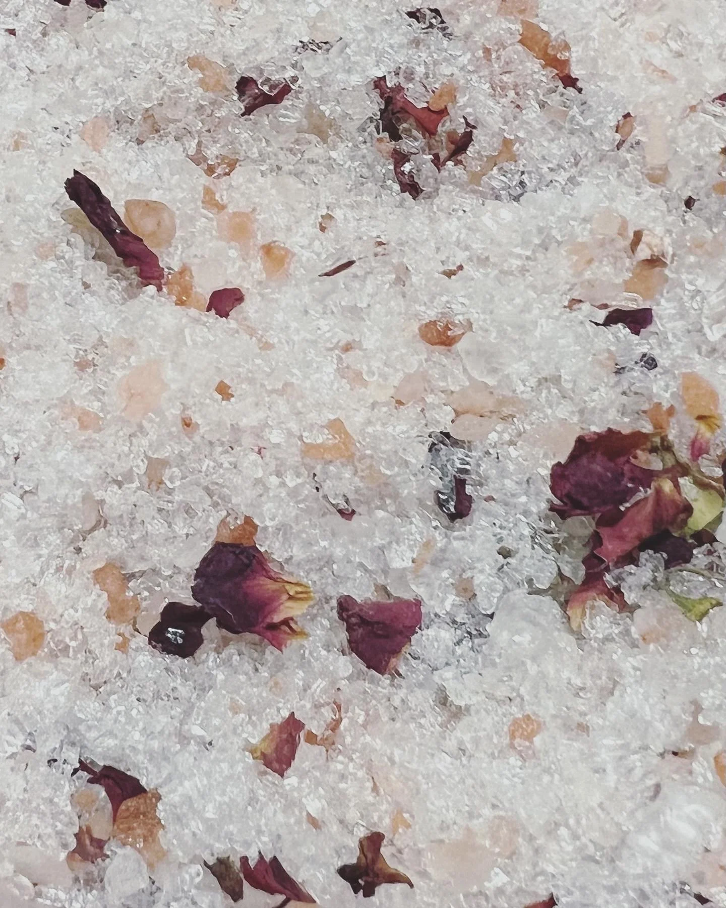 Geranium close up.JPG