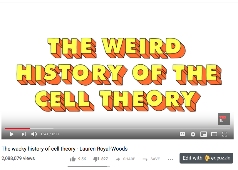 EDpuzzle extension in YT.png