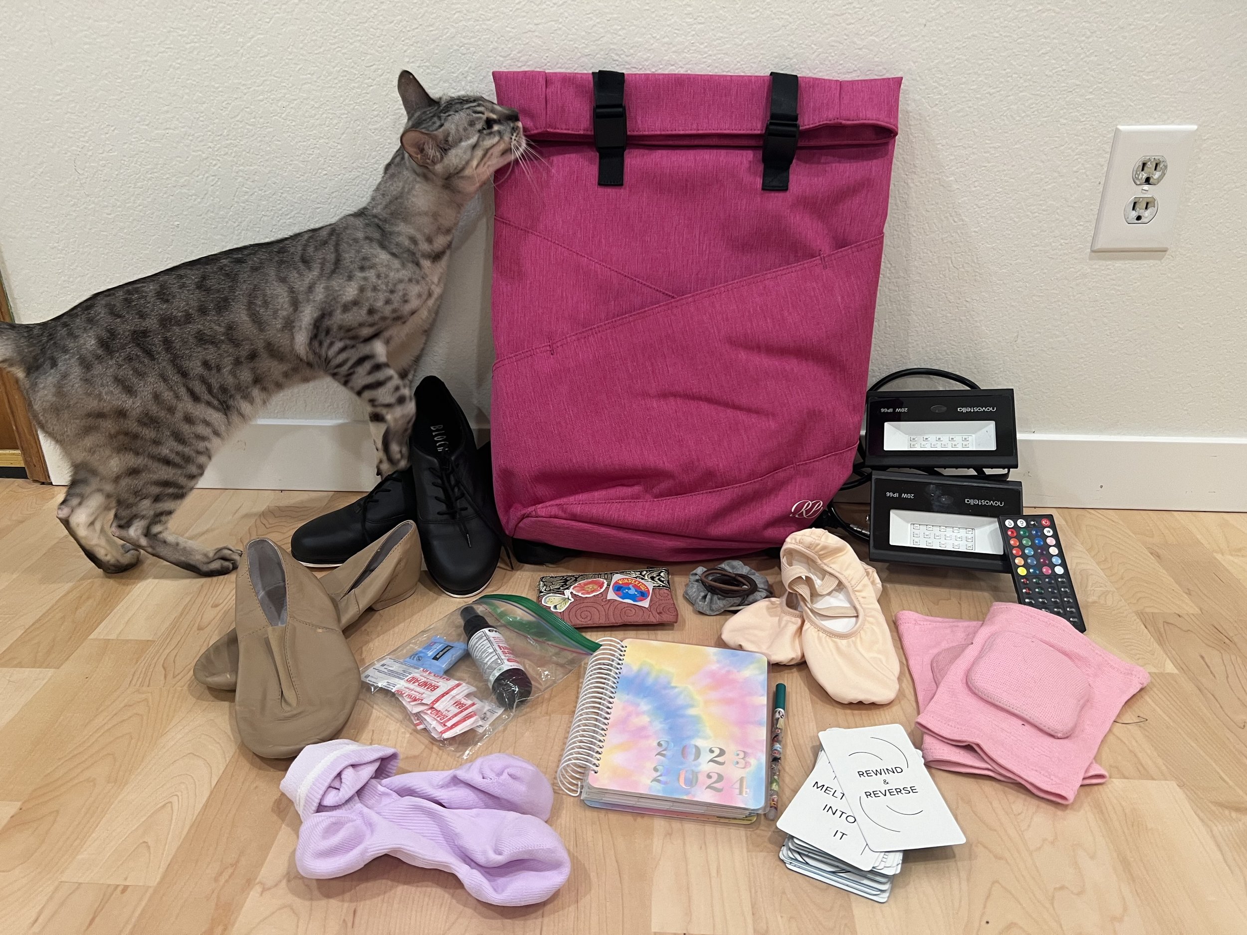 What s In Your Dance Bag Dancewear Center