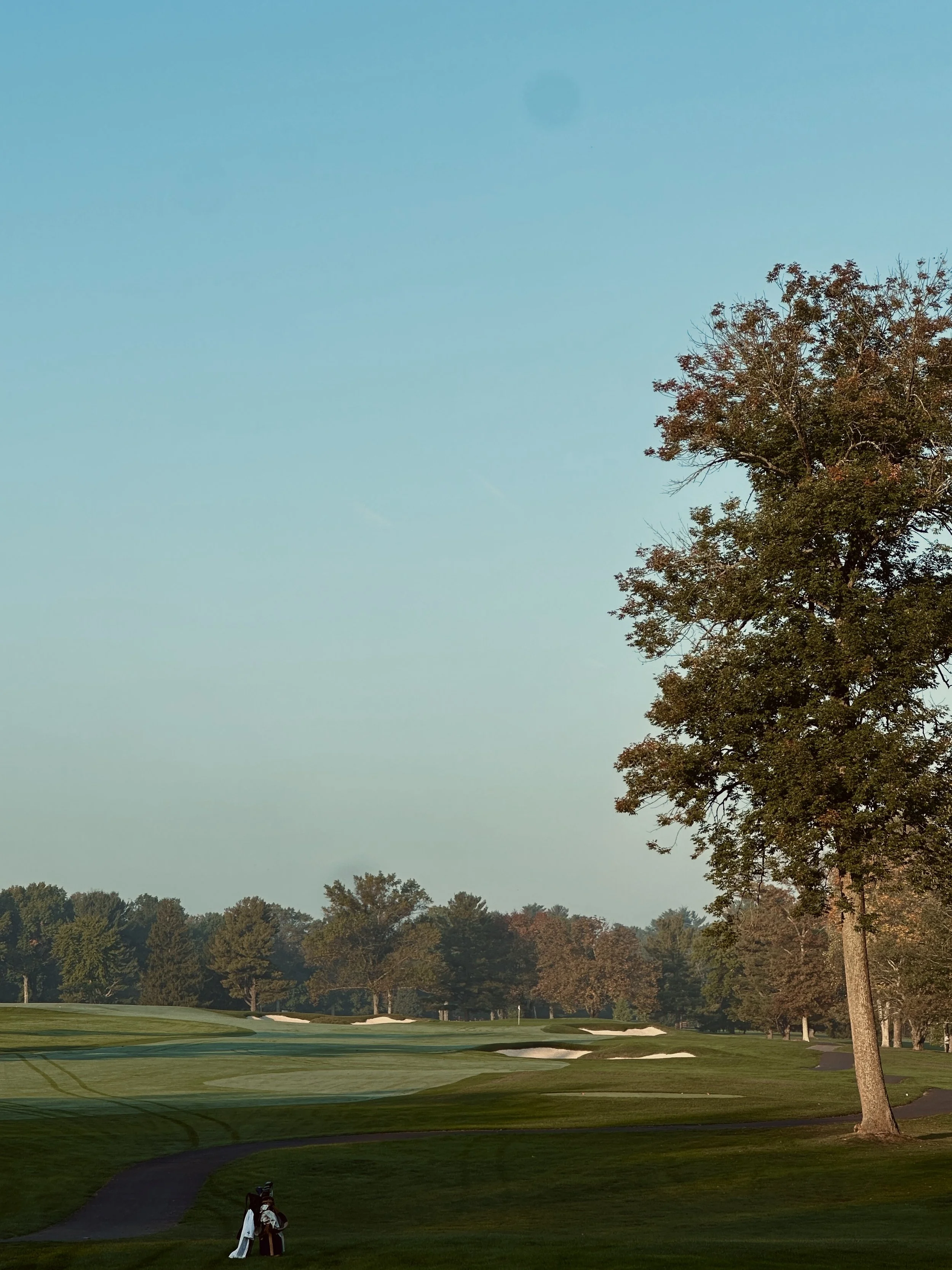 Cedarbrook 3rd hole renovation
