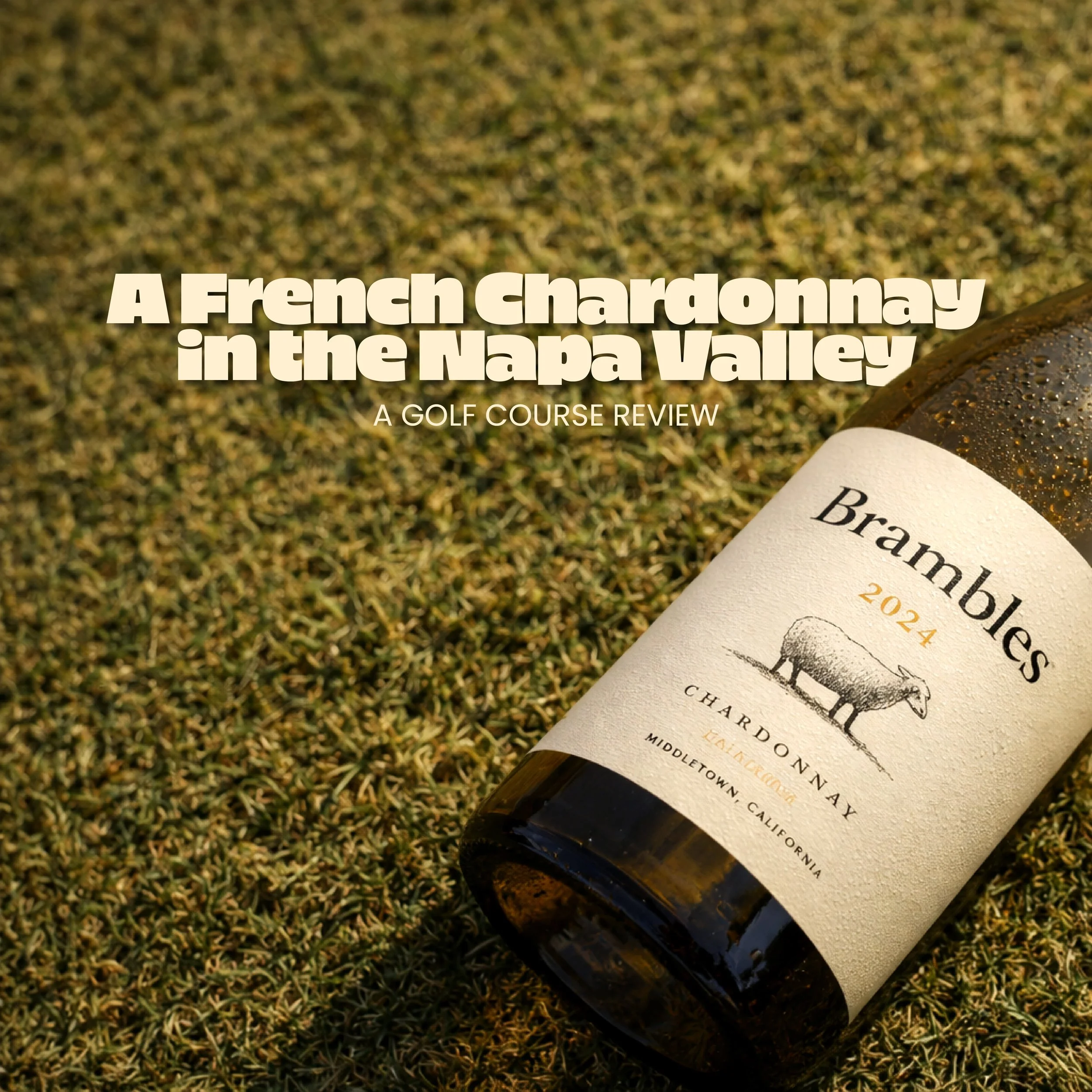 French Chardonnay in the Napa Valley