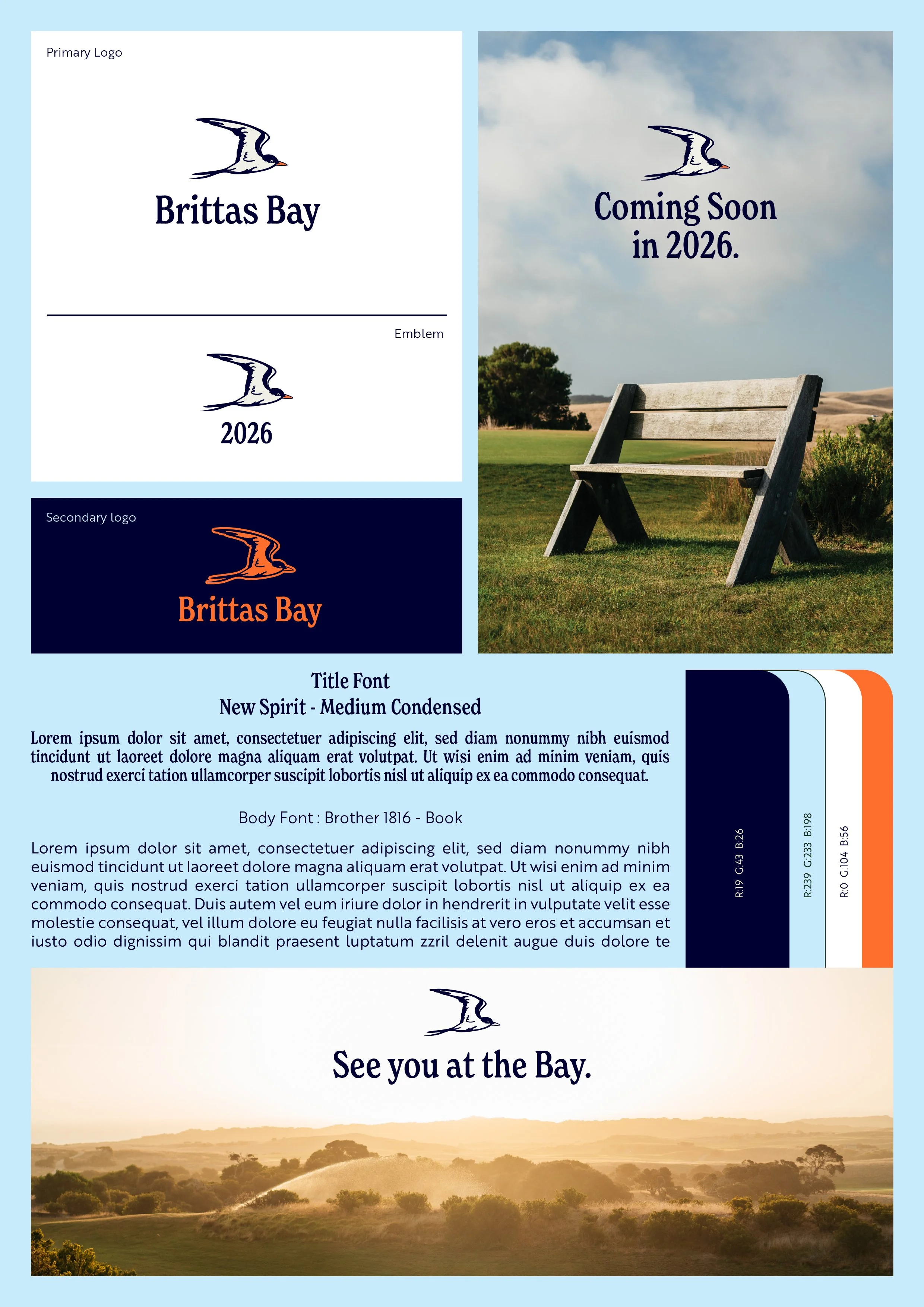 Brittas Bay 1 Page Guideline.jpg