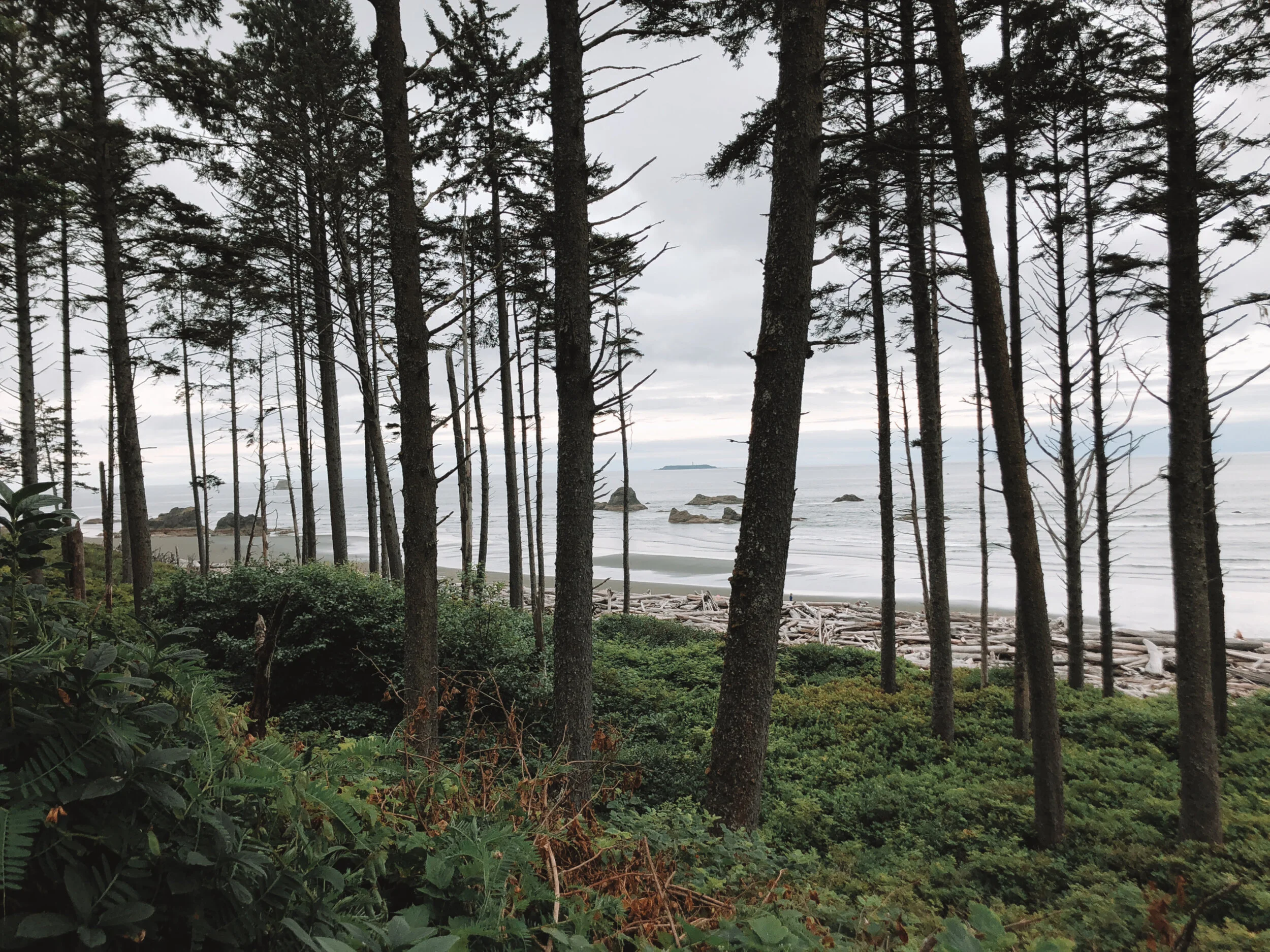 Ruby Beach- Washington