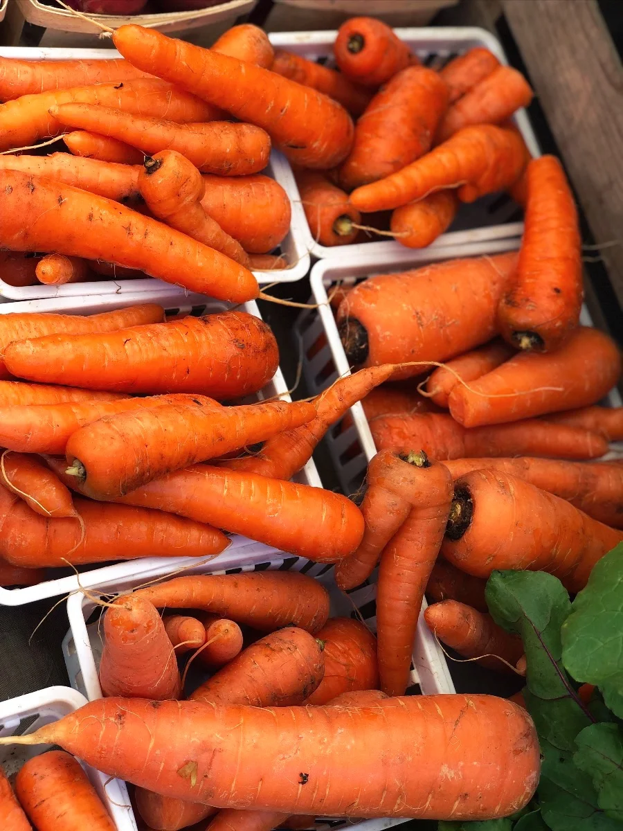 EATS: Do I *really* need to wash my veggies?