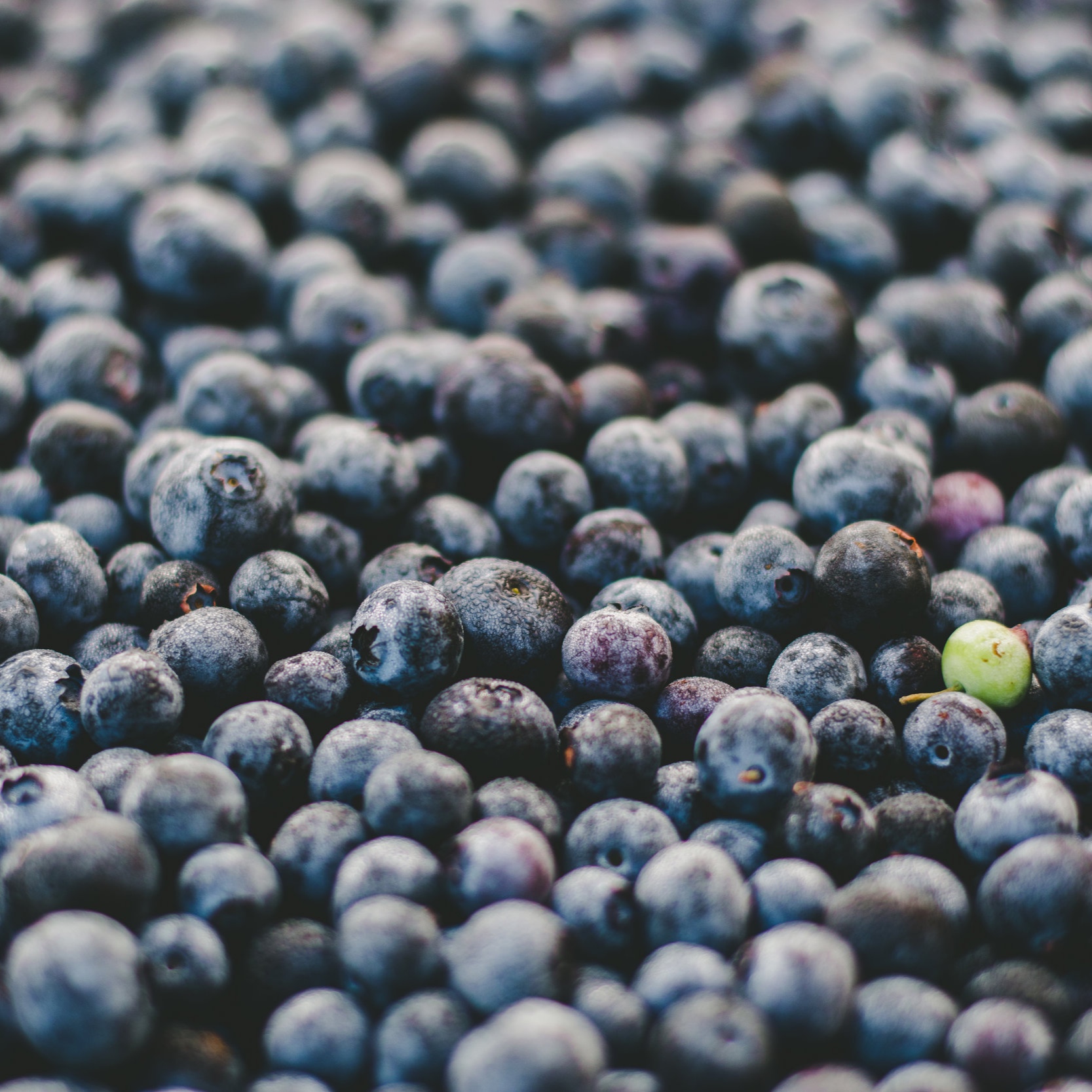 EATS: How to Ace a Trip to the Farmer's Market