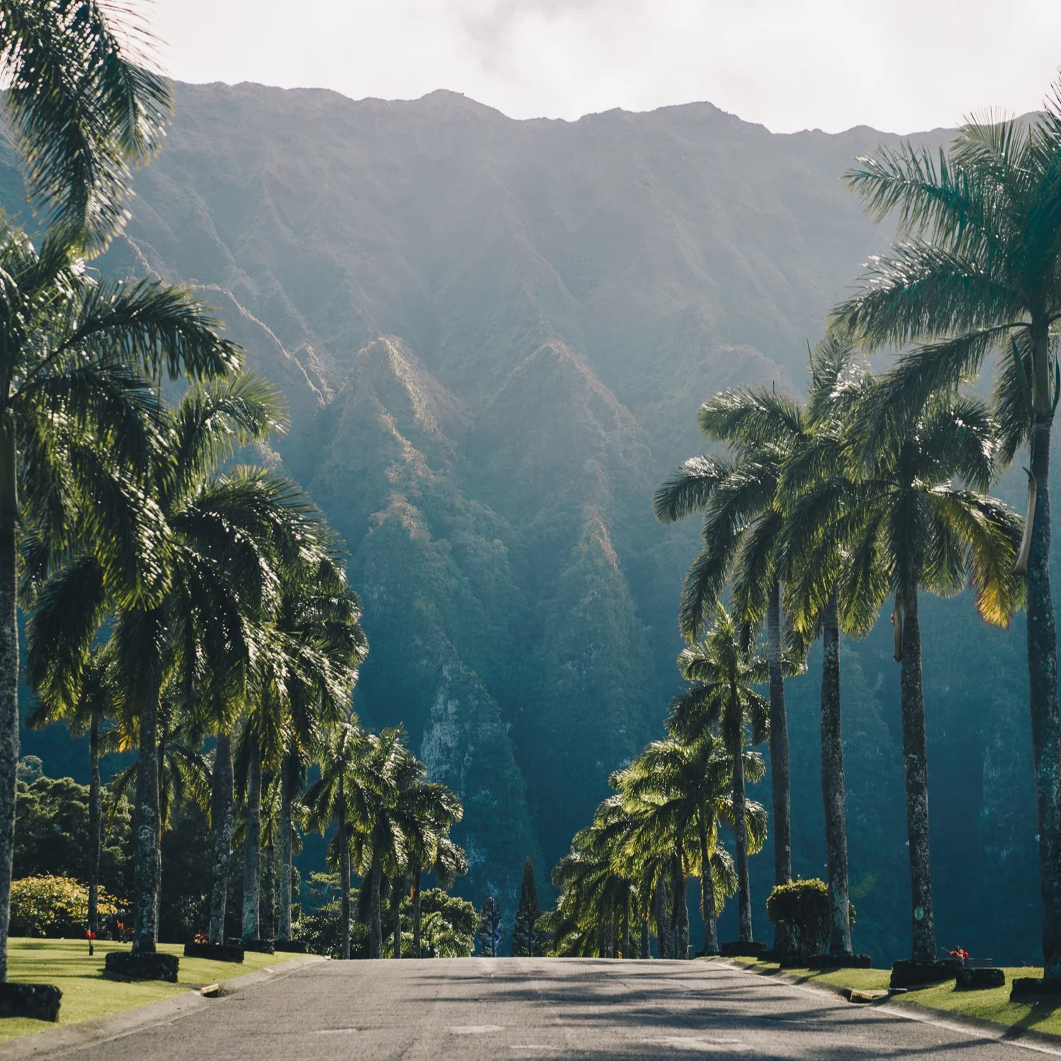 Tha Good Good, Week of 4.6.19