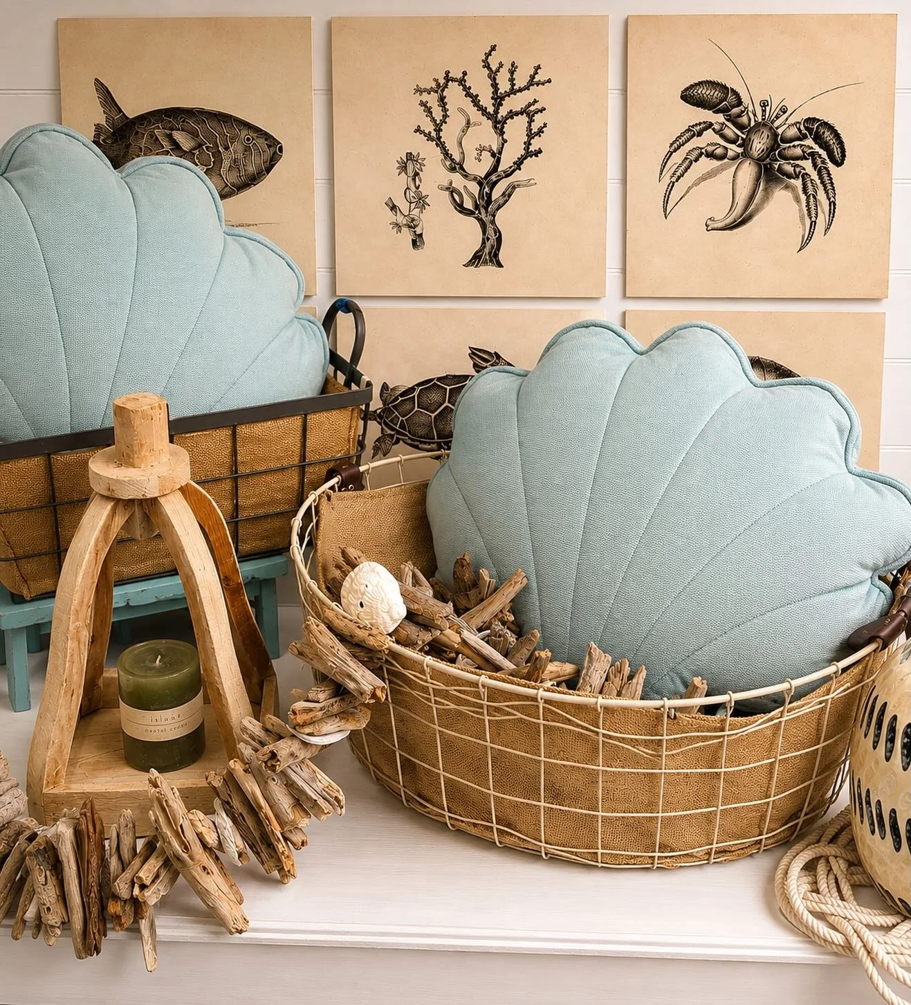 Bringing a little bit of the shoreline indoors 🌊🐚