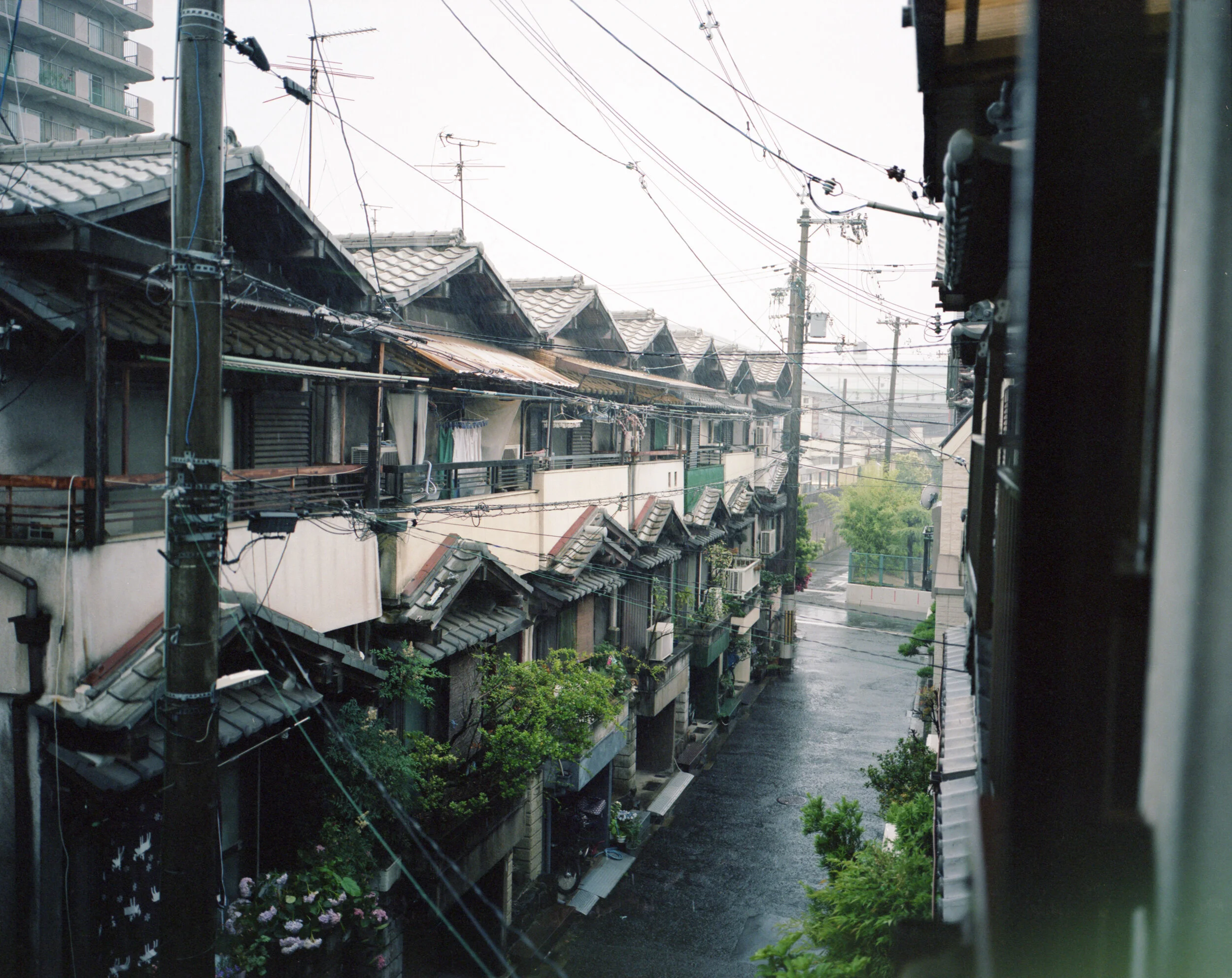Portra400_013nodust-2.jpg