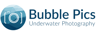 Bubblepics Underwater Photography