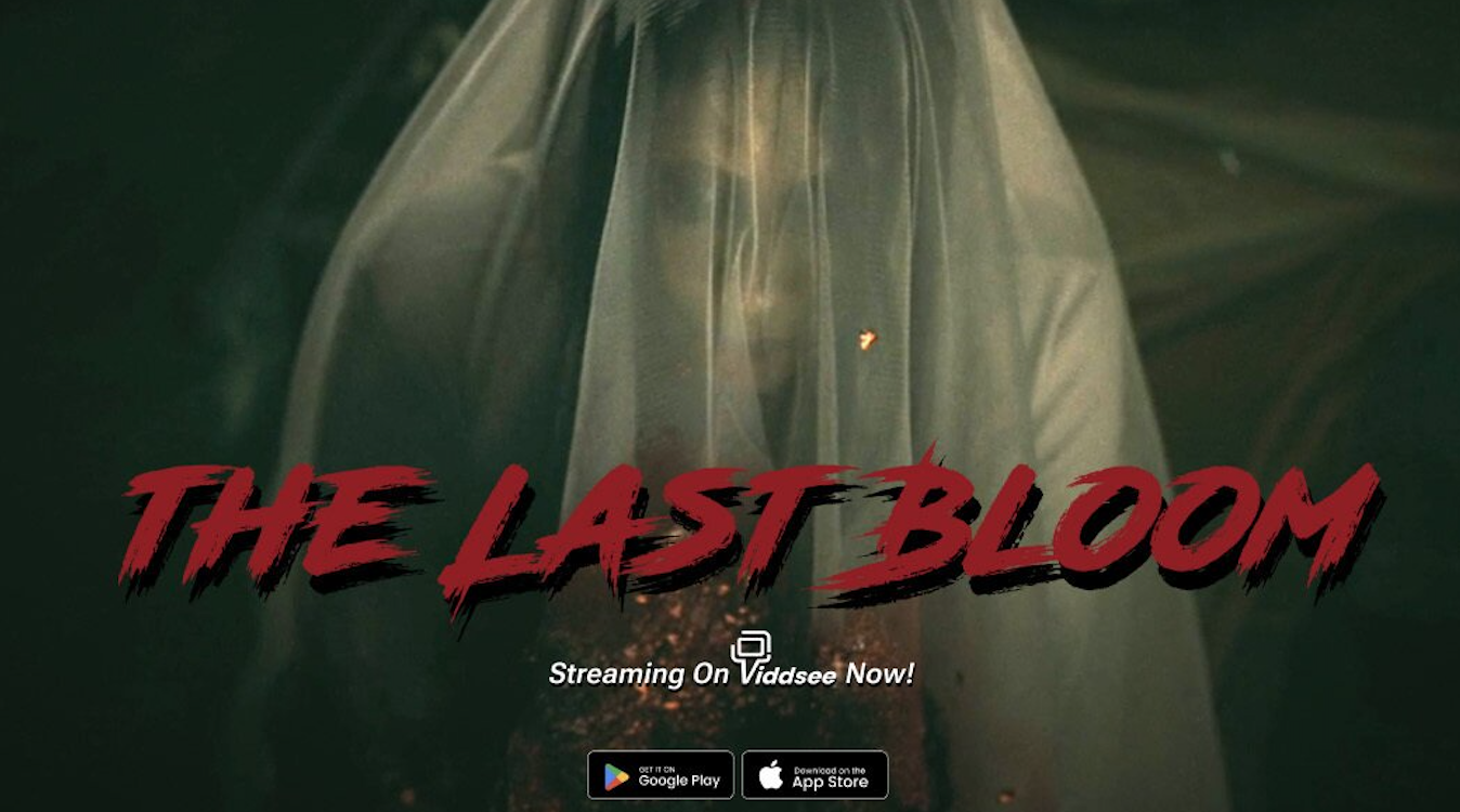 Singapore Virtual Production VP Cinematographer DOP