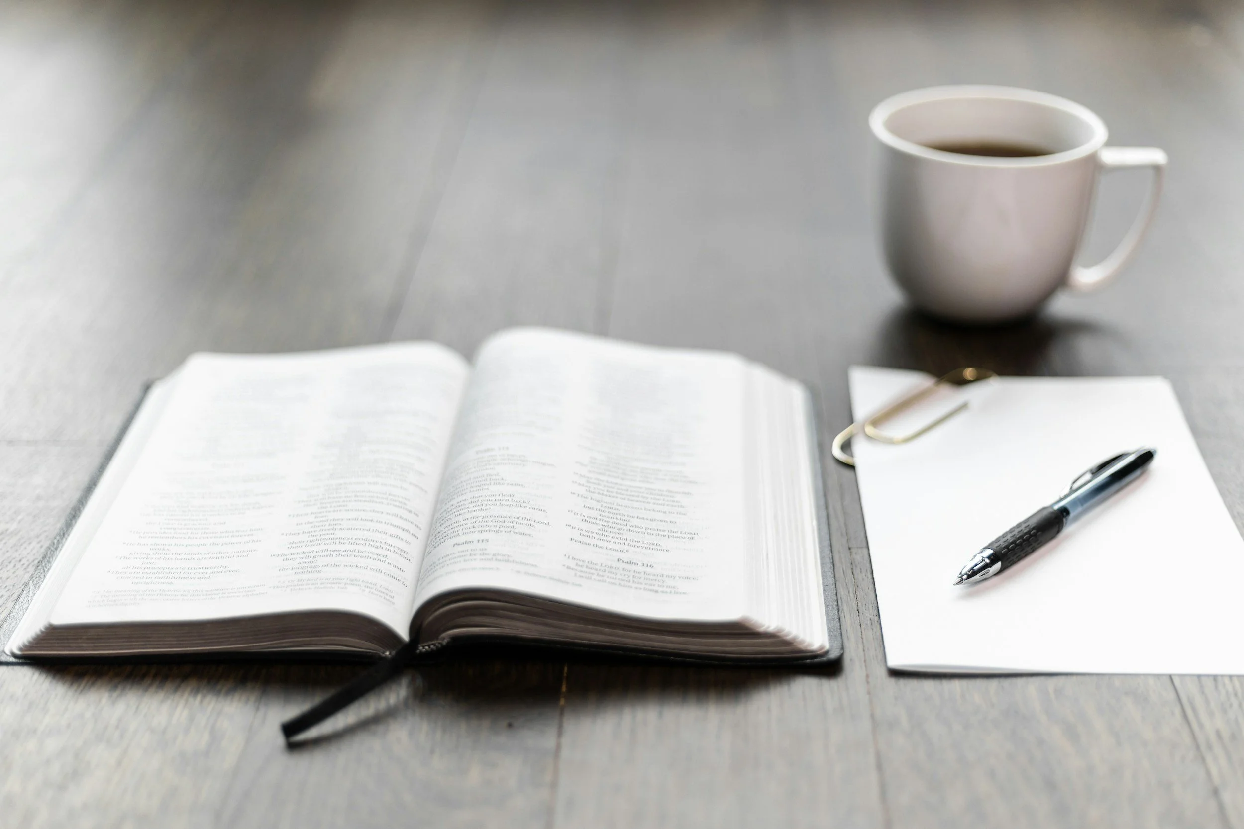 Understanding Salvation: A Bible Study Guide 
