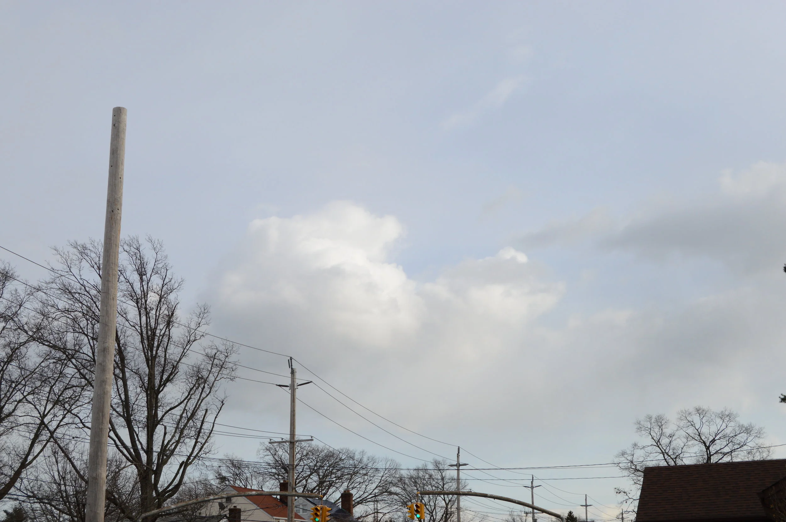 DSC_0177.JPG
