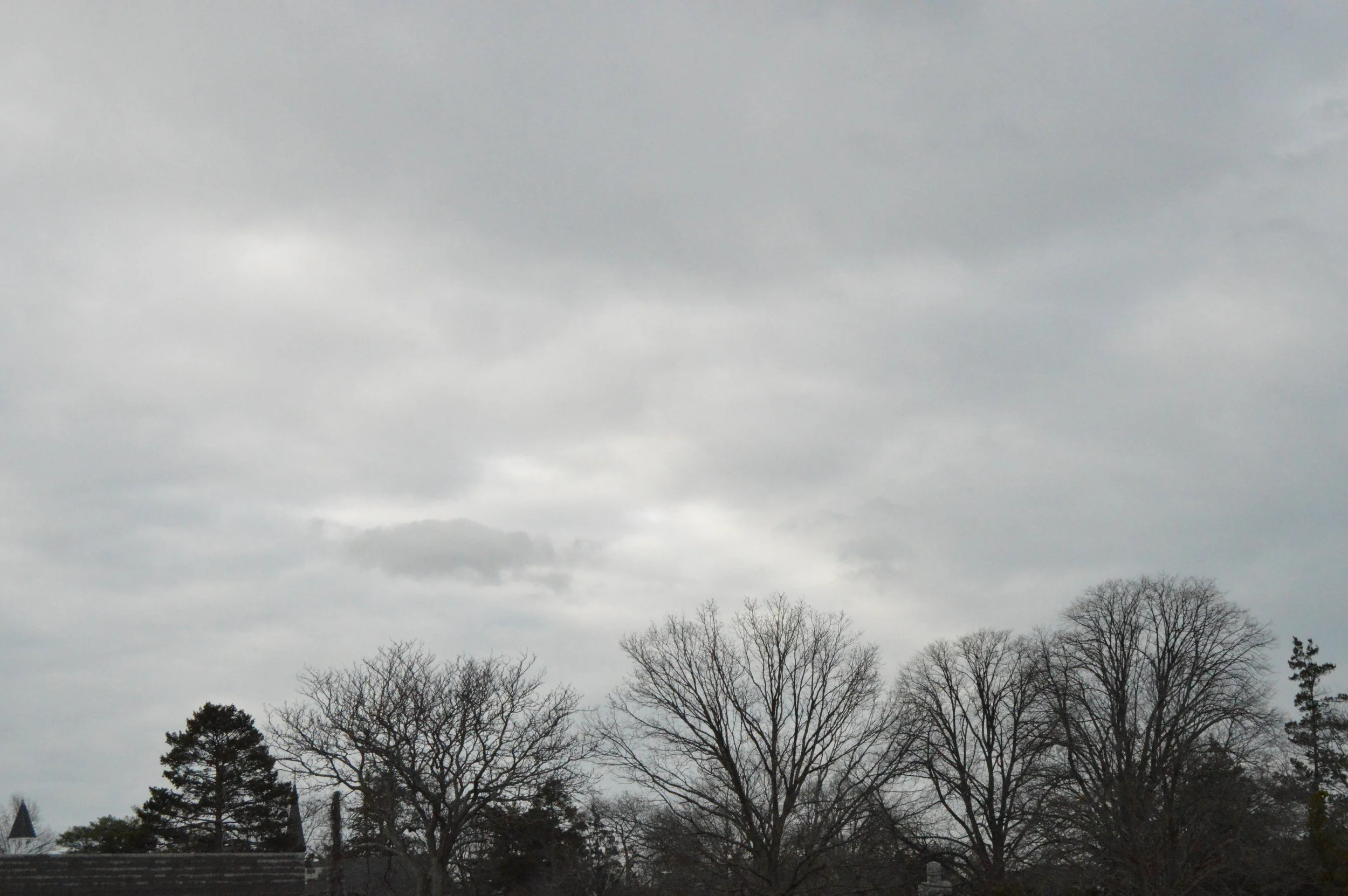 DSC_0363.JPG
