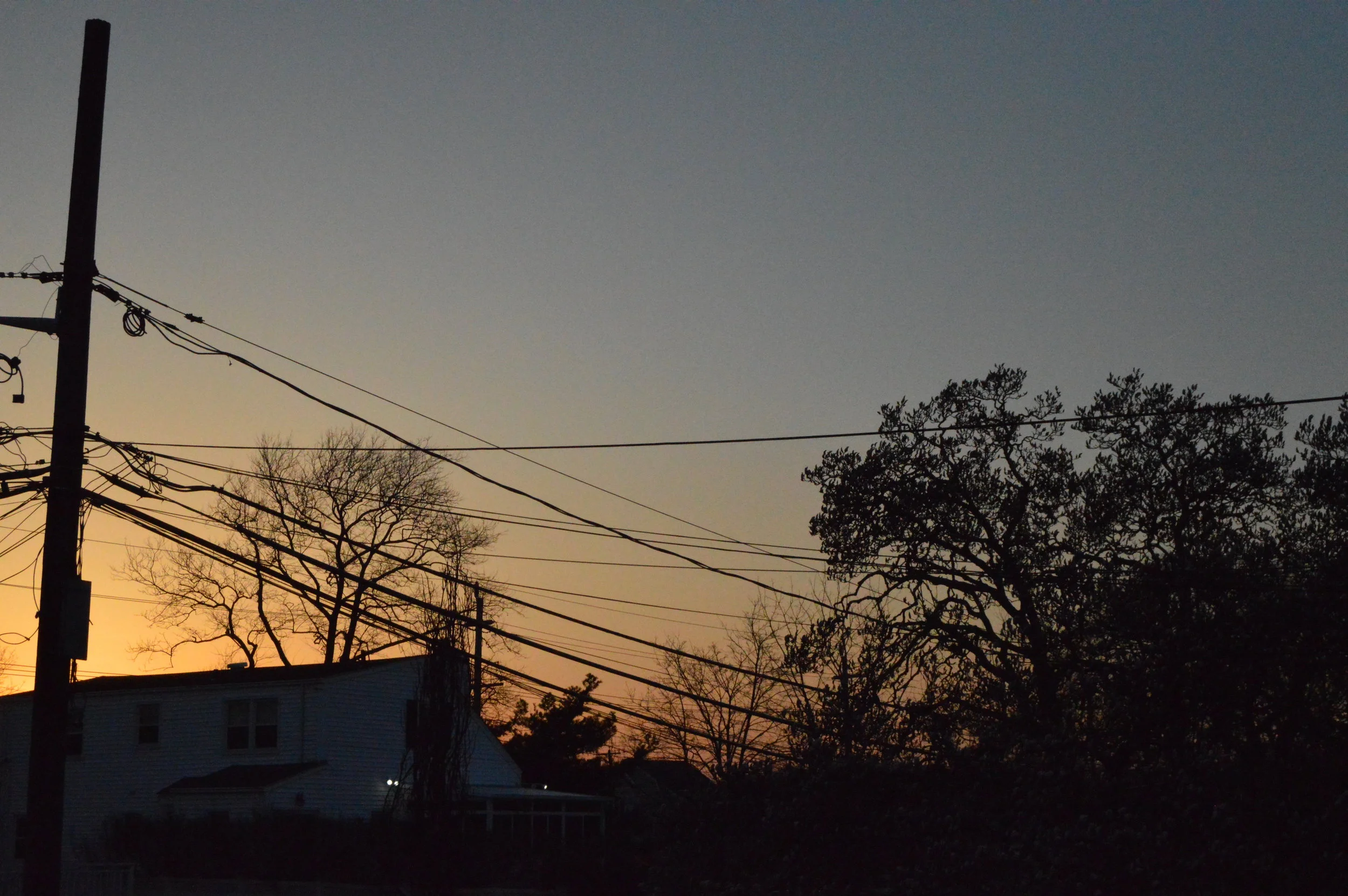 DSC_0387.JPG