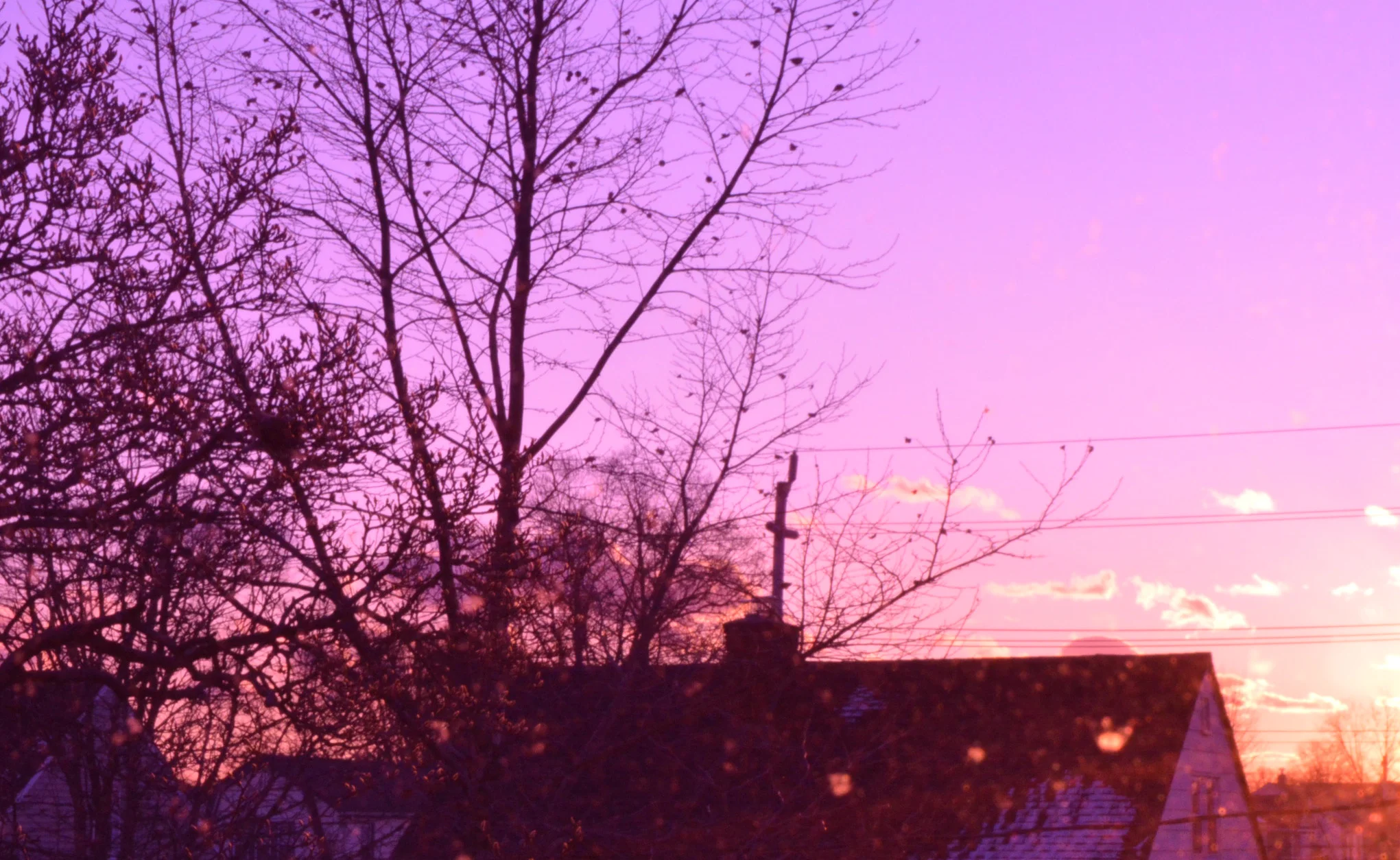 DSC_0043.JPG