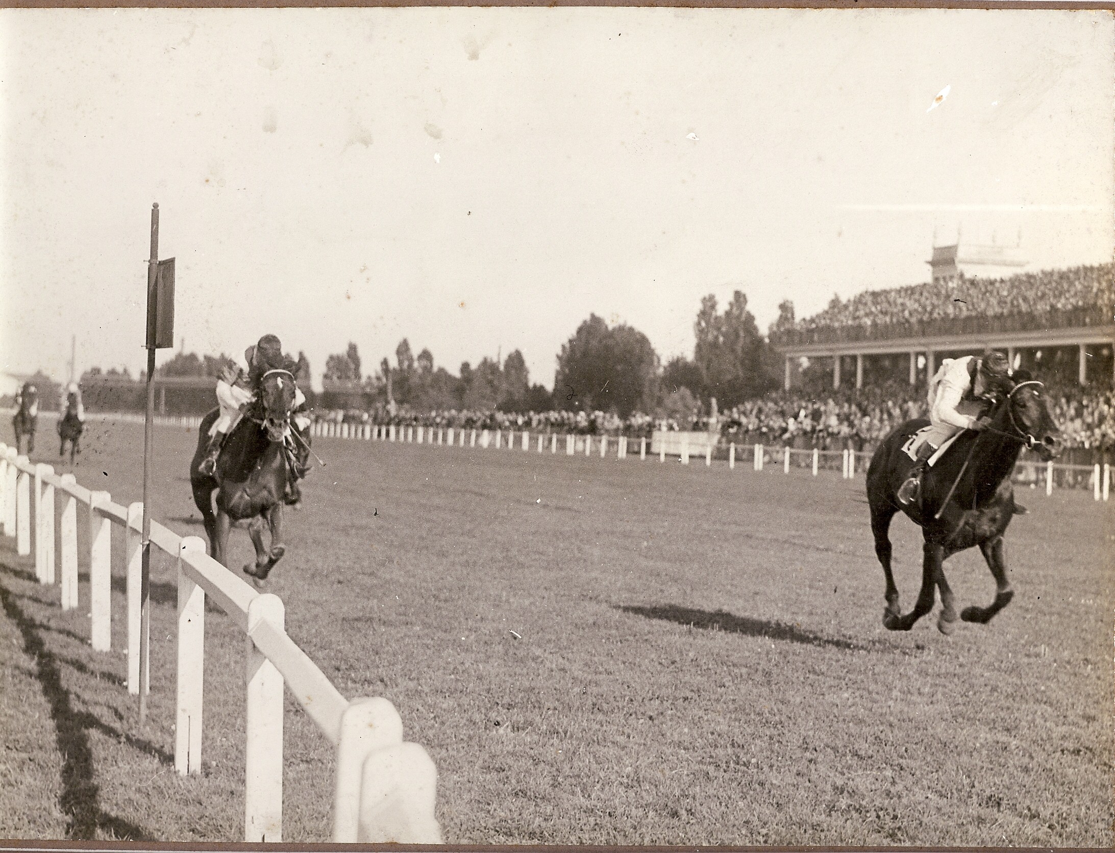 Federico Regoli Gran Premio Di Milano 1929.jpg