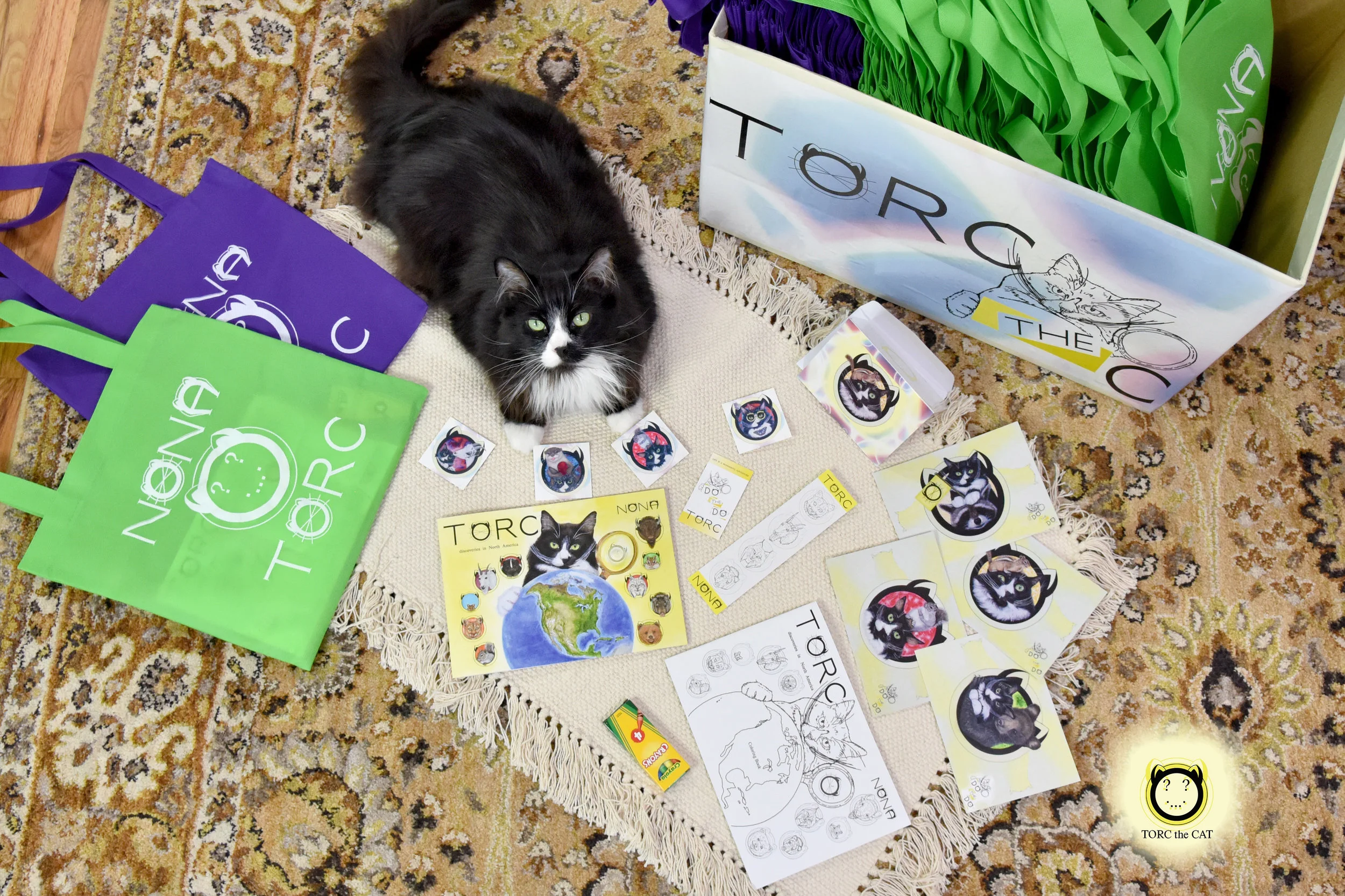 TORC the CAT prepared 45 gift bags for the recovering children staying at the Sacred Heart Children's Hospital in Spokane, WA. Each gift bag included the following: * The fun and interactive children’s book “TORC 1 discoveries in North America” * A Coloring book , which showcases the wonderful animals he discovers in TORC 1 discoveries * A reusable bag, 1 bookmark, 4 postcards, a box of crayons and a greeting card signed by TORC with his own paw.
