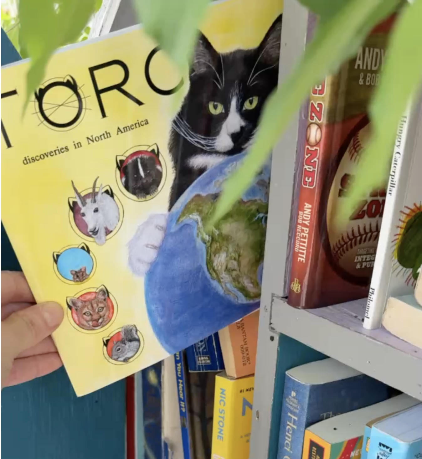 Screenshot 2025-12-31 at 5.38.52 PM.png