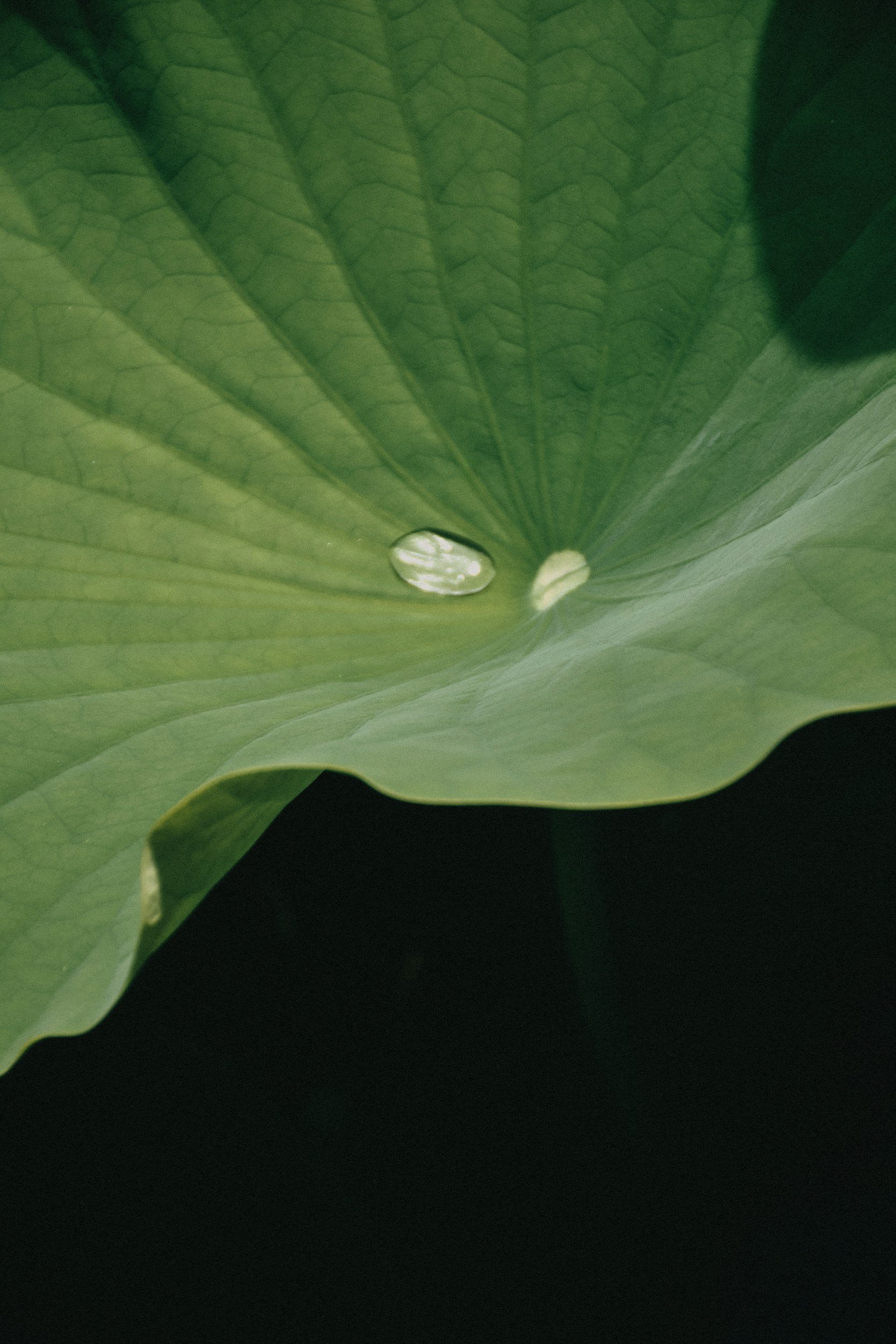 unsplash-image-f3sfsj2ijXU.jpg