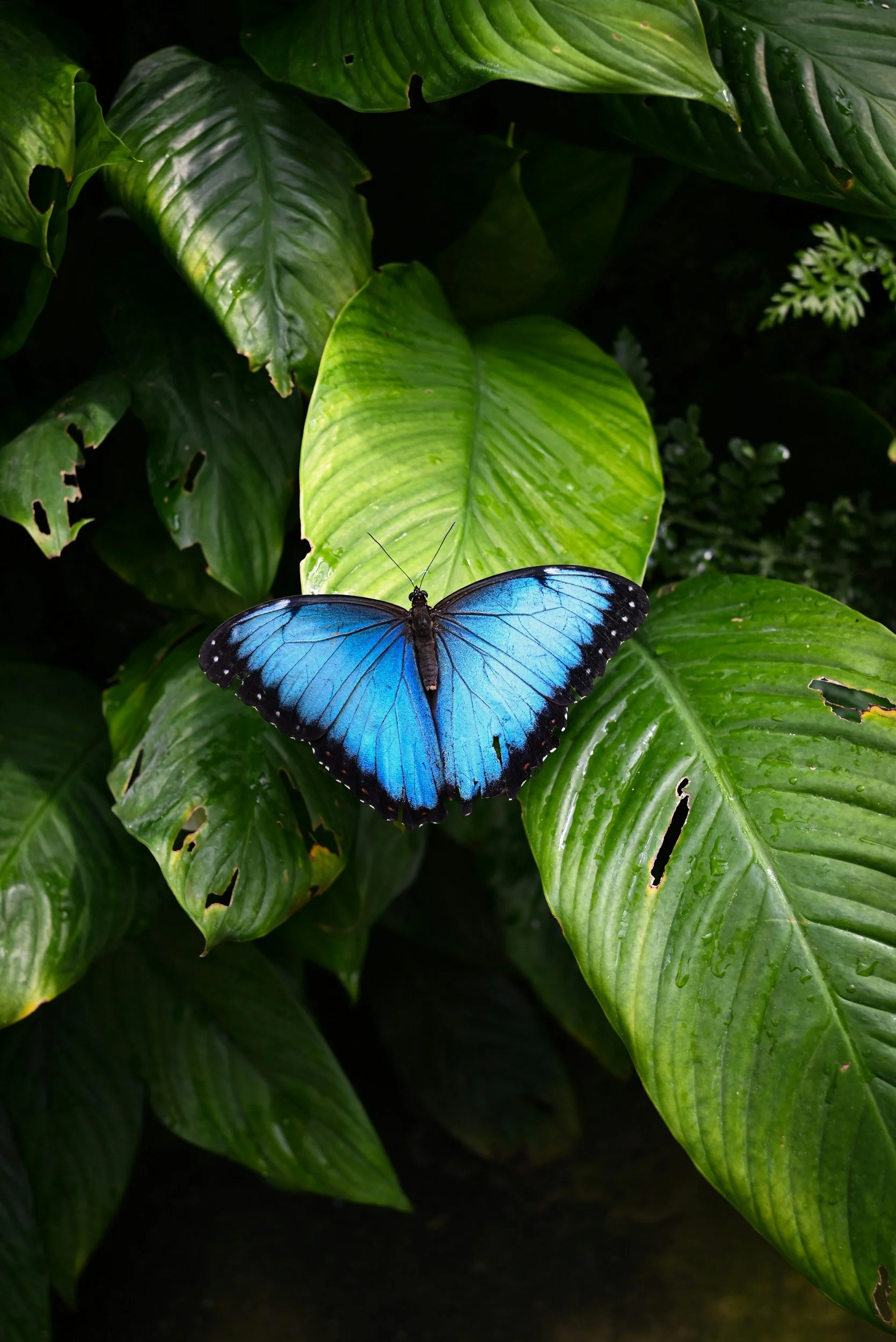unsplash-image-zQ_SqgT5OAw.jpg