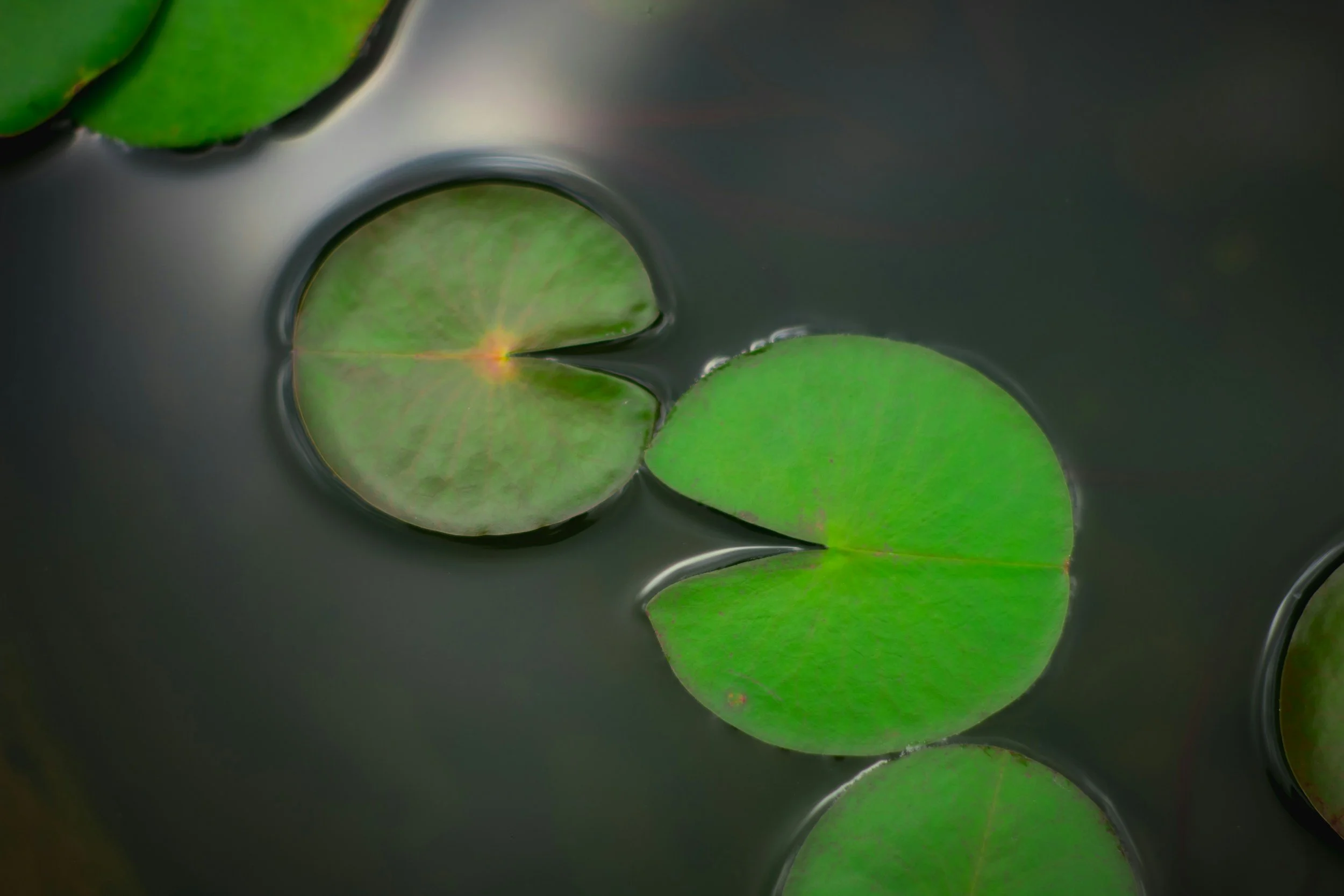 unsplash-image-Kao_vO9YxJE.jpg