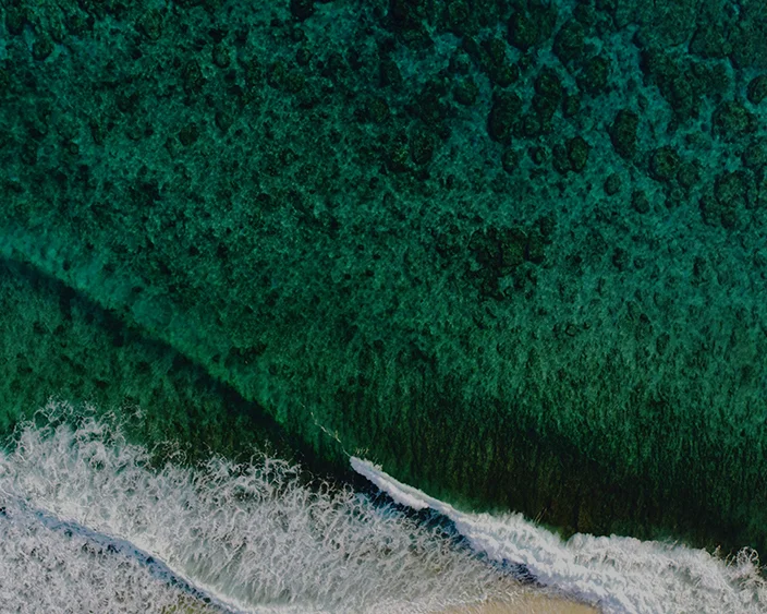 shifaaz-shamoon-302646-unsplash_black_5x8.jpg