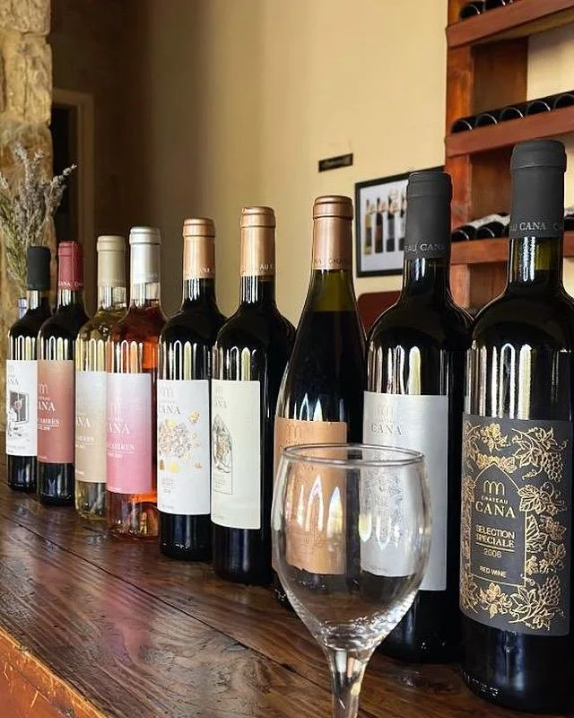 WhatsApp Image 2024-03-14 at 11.29.31 AM.jpeg