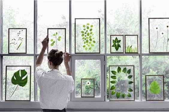 kraft week herbier #1