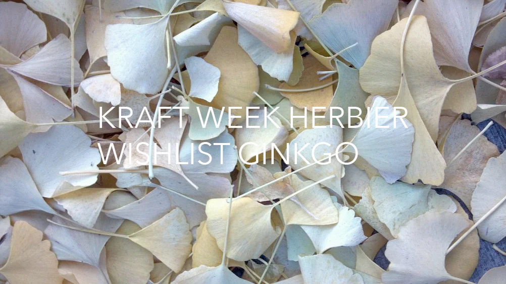 wishlist ginkgo deco
