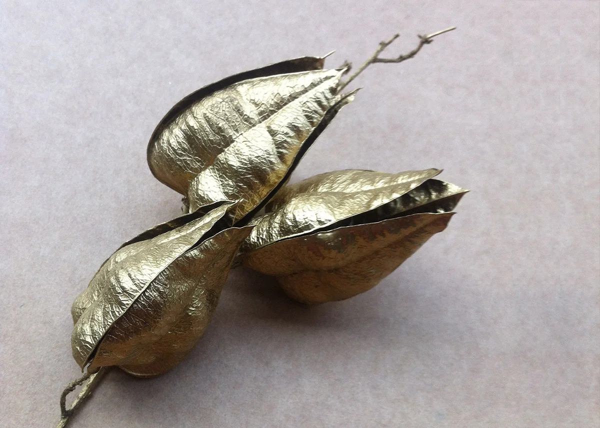 DIY connaissez-vous l'arbre de pluie d'or ?