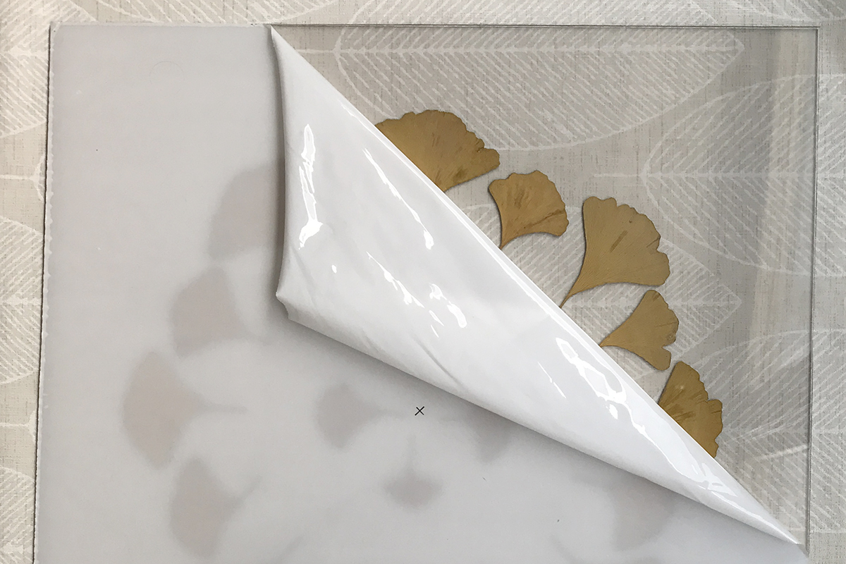 DIY-HERBIER-GINKGO-KC-12