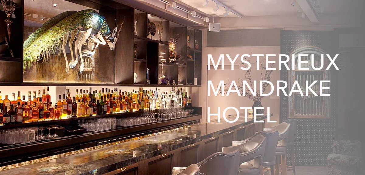 le mandrake hotel