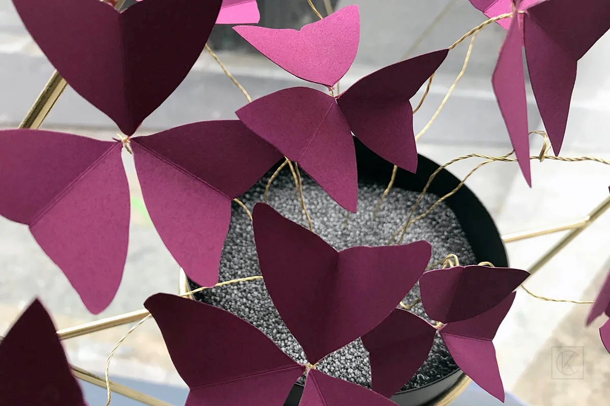 DIY-PAPER-OXALIS-KRAFTANDCARAT-17BD