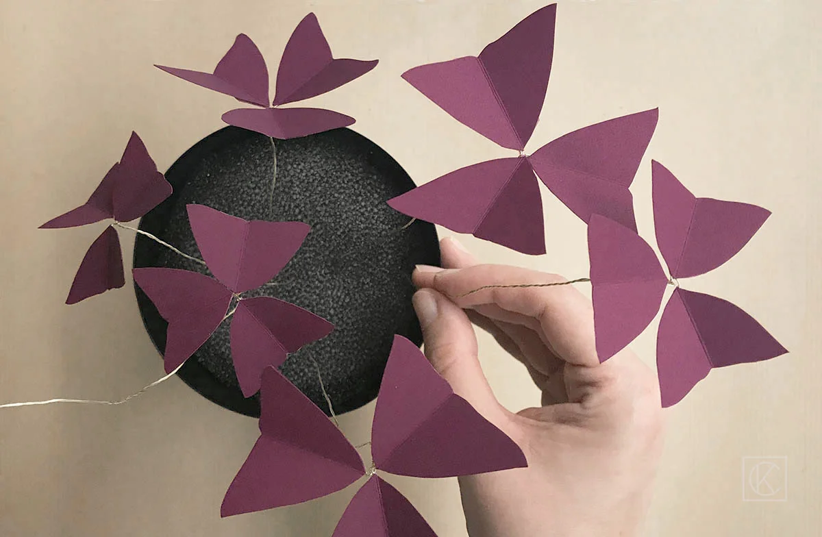 DIY-PAPER-OXALIS-KRAFTANDCARAT-6BD