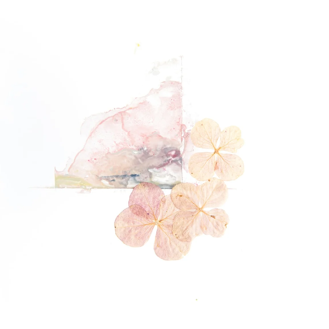 TOP 15 des plus beaux diffuseurs d’huiles essentielles