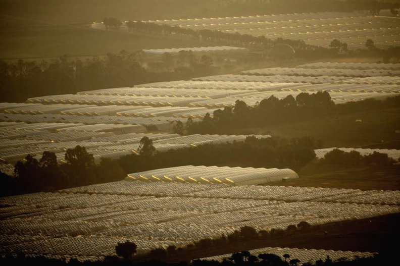 impact environnemental horticulture france-6.png