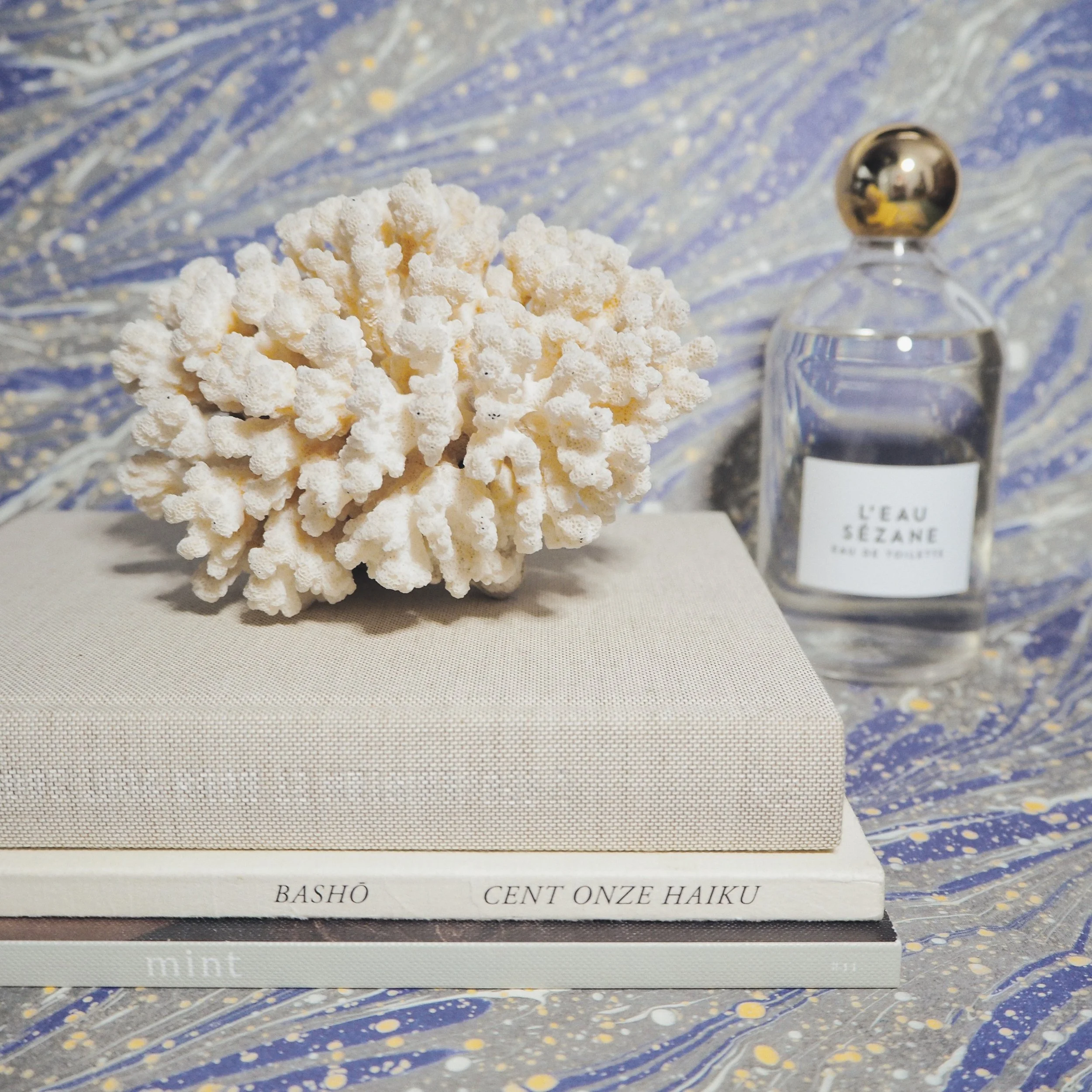 corail1-24.jpg