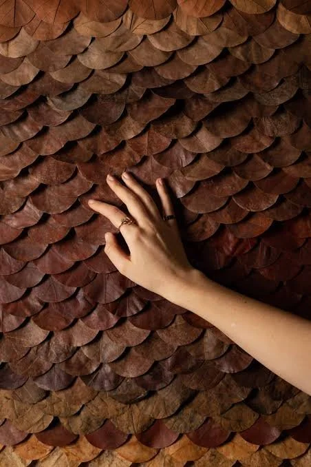 alyssa-jos-leaf-artistc-installation-marion-saupin.jpeg