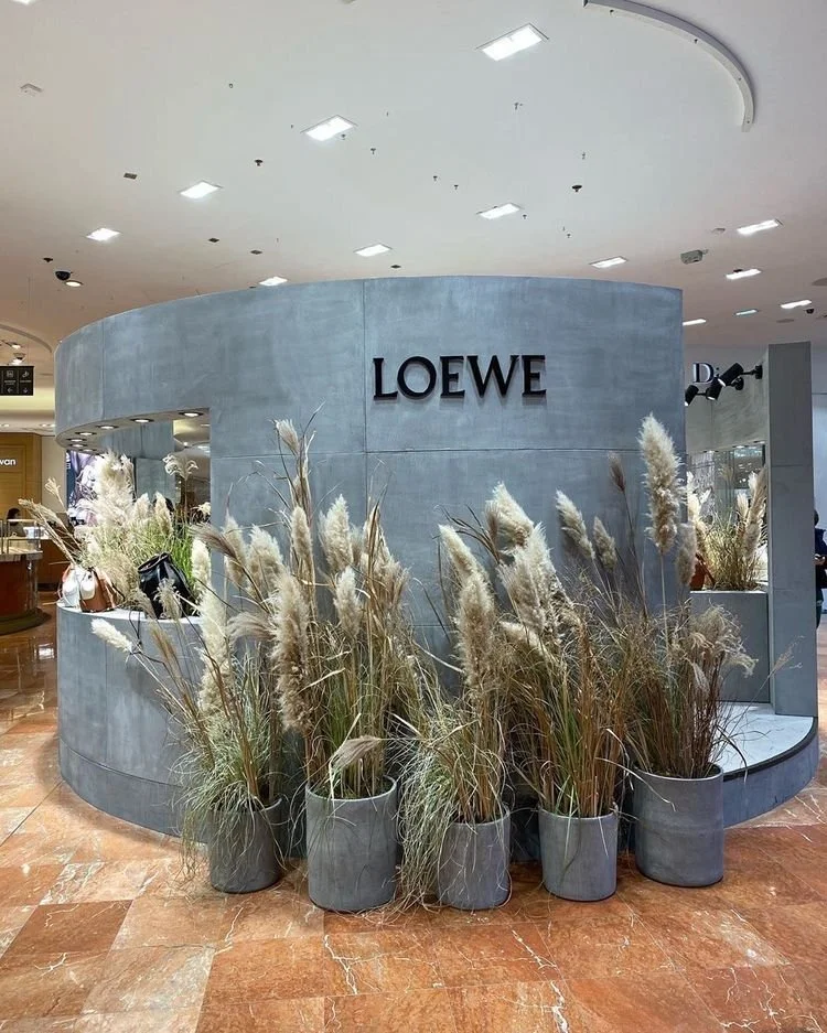 loewe-pampa-visual-merch.jpg