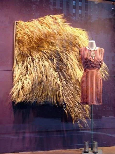 anthropologie-wheat-frame-window.jpg