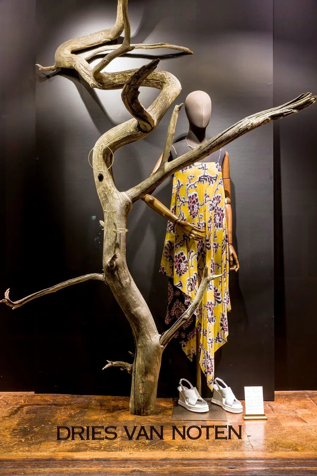 DRIES-VAN-NOTEN-branch-WINDOW-DISPLAY-tree.jpg