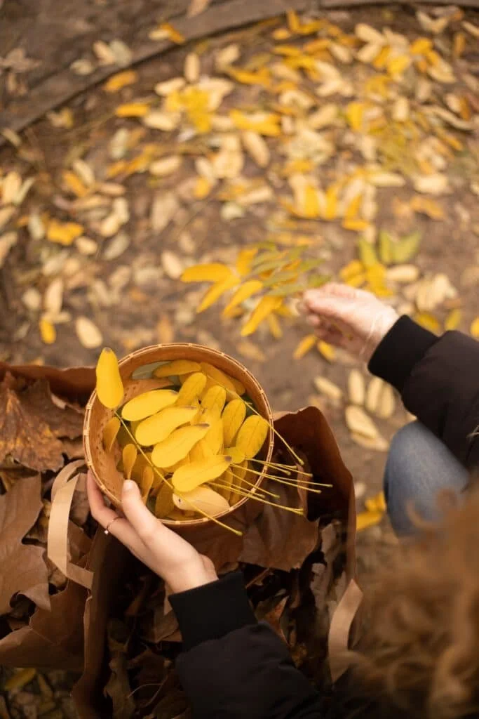 alyssa-jos-leaf-artistc-installation-marion-saupin-collect.jpg