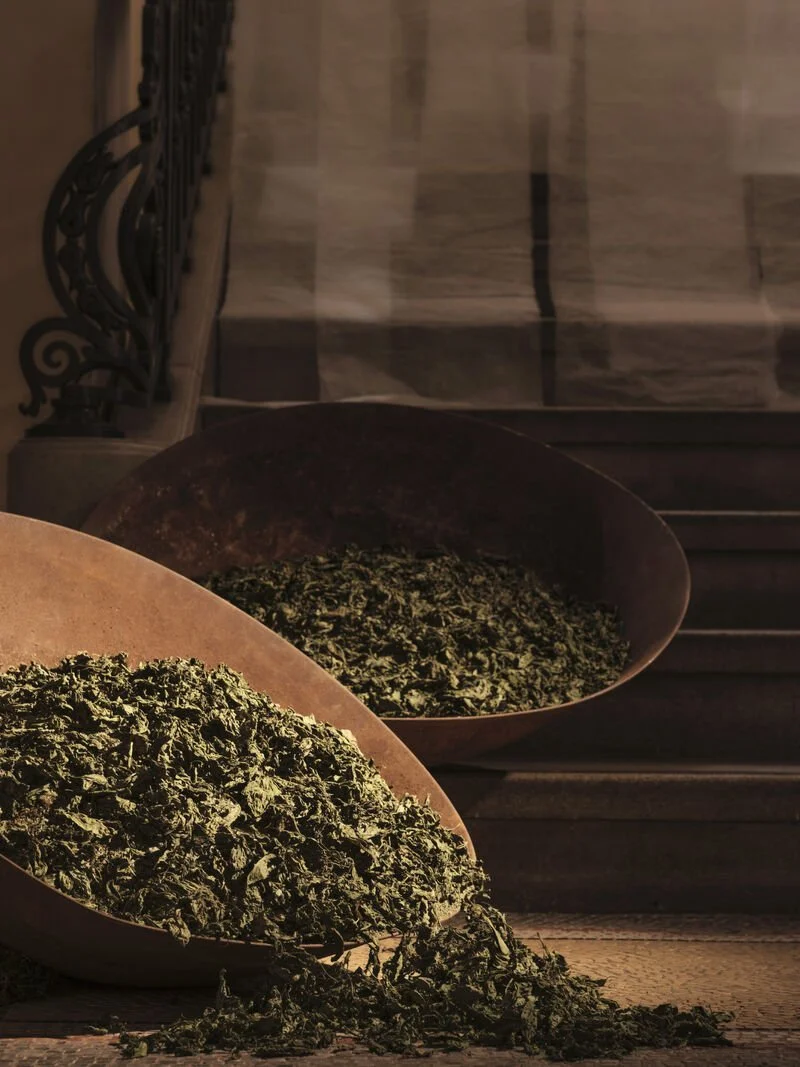 aesop-fragrant-fable-ingredients.jpeg
